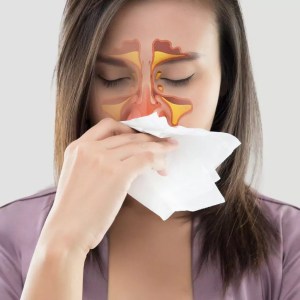 How are the Sinuses and Teeth Connected?